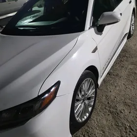 Toyota Camry 2020