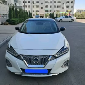 Nissan Maxima 2023