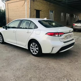 Toyota Corolla 2020