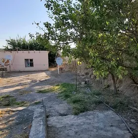 Bagyr