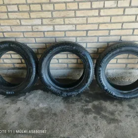 225 55 17 pakrysga