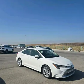 Toyota Corolla 2020
