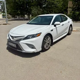 Toyota Camry 2020
