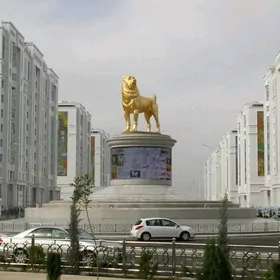 16-njy Tapgyr
