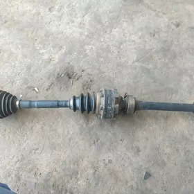 3.5 6 bolutly grant