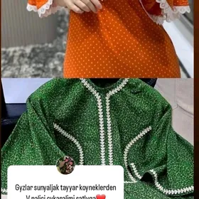 Koynek