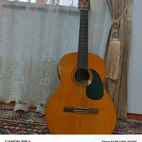 gitara kalonka aparat