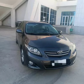 Toyota Corolla 2010
