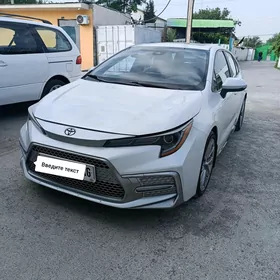 Toyota Corolla 2019