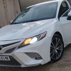 Toyota Camry 2019