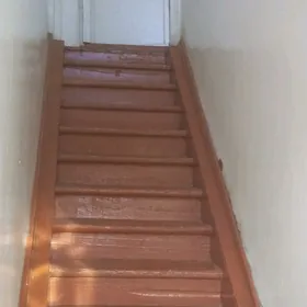 Saltyk jaý tejen