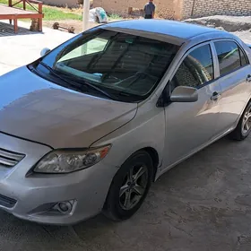 Toyota Corolla 2010