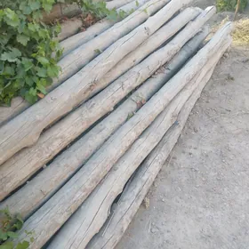 Agaç