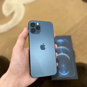 12 Pro 84256gb