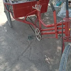 спорт и отдых
