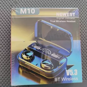 M10. TAZE
