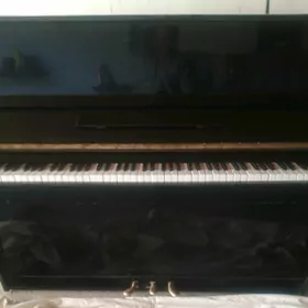 pianino пианина