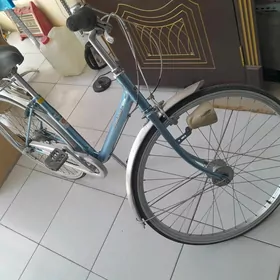 welsepit