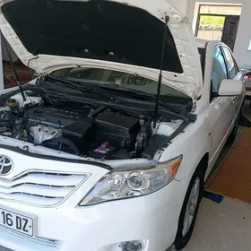Toyota Camry 2010