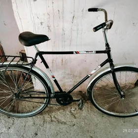 URAL TIGIR