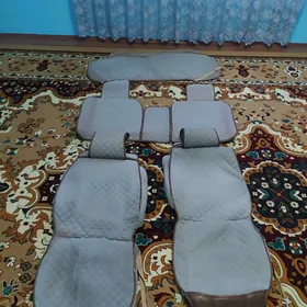 Karolla Cehol