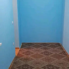 1kom beyik patalok