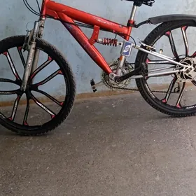 tigir amassatyr 26 lik