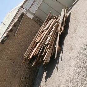 agaç polluk
