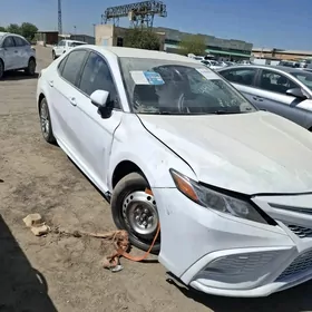 Toyota Camry 2020