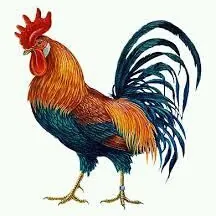 HORAZ