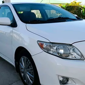 Toyota Corolla 2010