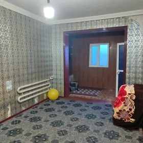 satlyk kwartora