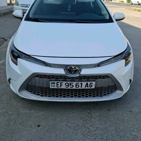 Toyota Corolla 2022