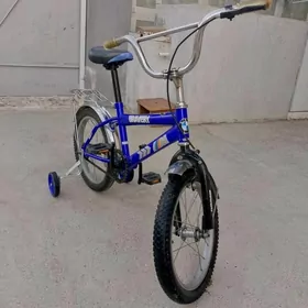tigir 16 lyk
