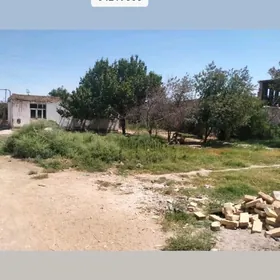 Turkmenabat satılık daça