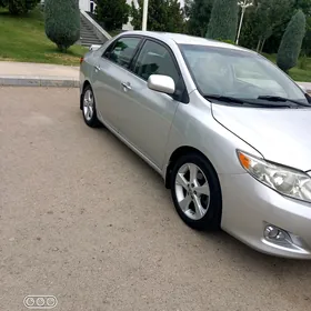 Toyota Corolla 2008