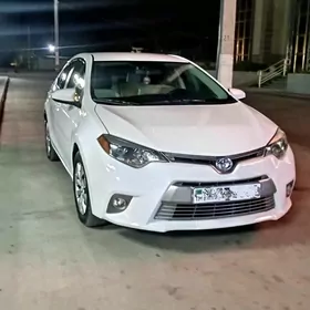 Toyota Corolla 2014