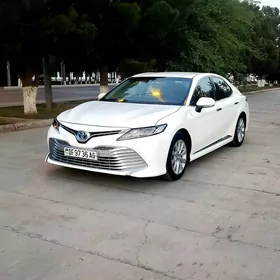 Toyota Camry 2019