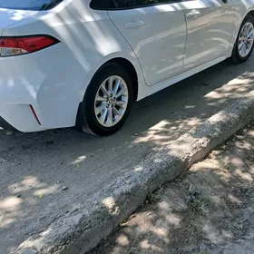 Toyota Corolla 2020