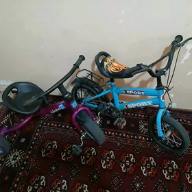 CAGALAN TIGRI IKI SANY