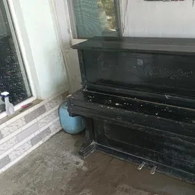 pianino