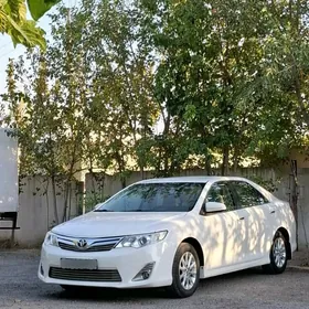 Toyota Camry 2013