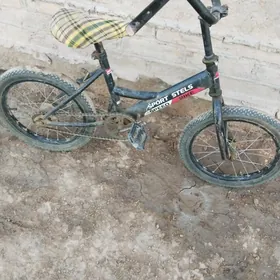 16lyk