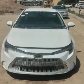 Toyota Corolla 2022