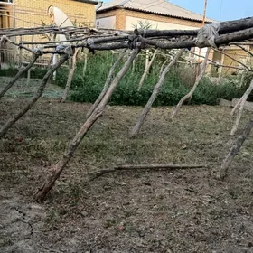 parnik stoyka