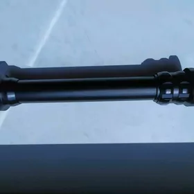 Ronin ucin taýak