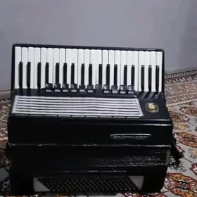 akardeonakardeon