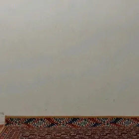 günlük jay