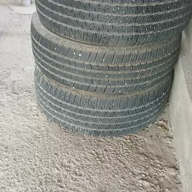 teker 20