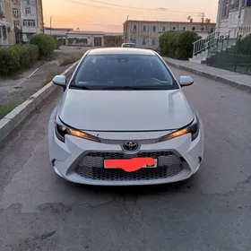 Toyota Corolla 2019